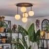 Chehalis Plafonnier, Boule lumineuse Blanc, 5 lumières