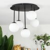 Chehalis Plafonnier, Boule lumineuse Blanc, 5 lumières
