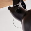 Hagan Plafonnier, Spot de plafond Chrome, Écru, Noir, 4 lumières
