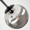 Chehalis Plafonnier, Boule lumineuse Fumé, 5 lumières