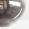 Chehalis Plafonnier, Boule lumineuse Fumé, 5 lumières