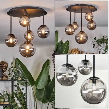 Chehalis Plafonnier, Boule lumineuse Fumé, 5 lumières