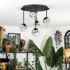 Chehalis Plafonnier, Boule lumineuse Clair, Fumé, 5 lumières