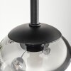Chehalis Plafonnier, Boule lumineuse Clair, Fumé, 5 lumières