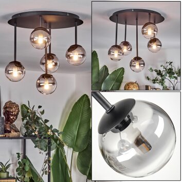 Chehalis Plafonnier, Boule lumineuse Clair, Fumé, 5 lumières