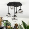 Chehalis Plafonnier, Boule lumineuse Clair, Fumé, 5 lumières