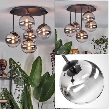 Chehalis Plafonnier, Boule lumineuse Clair, Fumé, 5 lumières