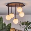 Chehalis Plafonnier, Boule lumineuse Blanc, 5 lumières