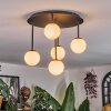Chehalis Plafonnier, Boule lumineuse Blanc, 5 lumières