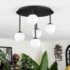 Chehalis Plafonnier, Boule lumineuse Blanc, 5 lumières