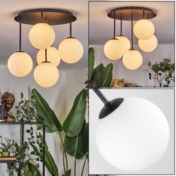 Chehalis Plafonnier, Boule lumineuse Blanc, 5 lumières