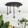 Chehalis Plafonnier, Boule lumineuse Clair, 5 lumières