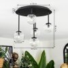 Chehalis Plafonnier, Boule lumineuse Clair, 5 lumières