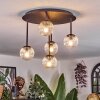 Chehalis Plafonnier, Boule lumineuse Clair, 5 lumières