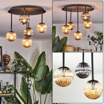 Chehalis Plafonnier, Boule lumineuse Ambre, Fumé, 5 lumières