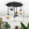 Chehalis Plafonnier, Boule lumineuse Ambre, Clair, Fumé, 5 lumières