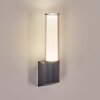 Isara Lampe murale d´extérieur, Applique murale LED Anthracite, 1 lumière