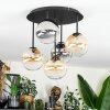 Chehalis Plafonnier, Boule lumineuse Ambre, Clair, Fumé, 5 lumières