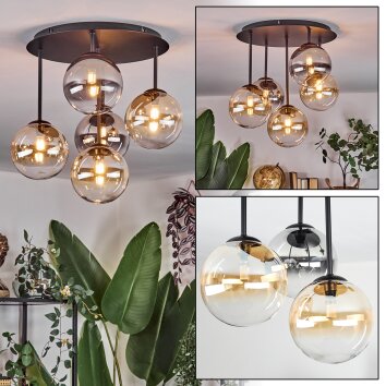 Chehalis Plafonnier, Boule lumineuse Ambre, Clair, Fumé, 5 lumières