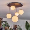 Chehalis Plafonnier, Boule lumineuse Blanc, 5 lumières