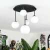 Chehalis Plafonnier, Boule lumineuse Blanc, 5 lumières