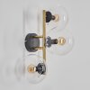Gastor Boule lumineuse, Applique murale Or, Noir, 3 lumières