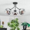 Ripoll Plafonnier, Boule lumineuse Chrome, Clair, Fumé, 3 lumières