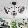 Gastor Plafonnier, Boule lumineuse Chrome, Clair, Fumé, 3 lumières