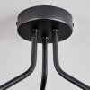 Gastor Plafonnier, Boule lumineuse Chrome, Clair, Fumé, 3 lumières