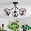 Gastor Plafonnier, Boule lumineuse Chrome, Clair, Fumé, 3 lumières