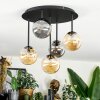 Chehalis Plafonnier, Boule lumineuse Ambre, Fumé, 5 lumières