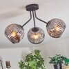 Ripoll Plafonnier, Boule lumineuse Fumé, 3 lumières