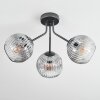 Ripoll Plafonnier, Boule lumineuse Clair, Fumé, 3 lumières