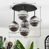 Chehalis Plafonnier, Boule lumineuse Fumé, 5 lumières