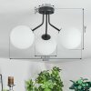 Gastor Plafonnier, Boule lumineuse Blanc, 3 lumières