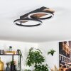 Cascada Plafonnier LED Brun, Couleur bois, Noir, 1 lumière