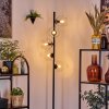 Koyoto Lampadaire 31 cm Clair, 5 lumières