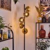 Koyoto Lampadaire 31 cm Or, Clair, 5 lumières