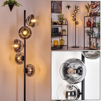 Koyoto Lampadaire 31 cm Chrome, Clair, Fumé, 5 lumières