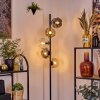 Ripoll Lampadaire Ambre, Clair, Fumé, 5 lumières