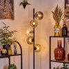 Ripoll Lampadaire Ambre, Clair, Fumé, 5 lumières