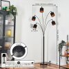 Alsen Lampadaire Noir, 5 lumières