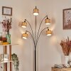 Bongal Lampadaire Chrome, Noir, 5 lumières