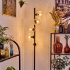 Ripoll Lampadaire Clair, 5 lumières