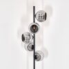 Ripoll Lampadaire Chrome, Fumé, 5 lumières