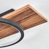 Pompu Plafonnier LED Brun, Couleur bois, Noir, 1 lumière