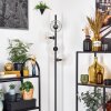 Ripoll Lampadaire Clair, 4 lumières