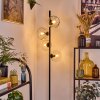 Ripoll Lampadaire Clair, 4 lumières