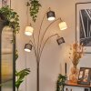 Bassagoda Lampadaire Nickel mat, Noir, 5 lumières