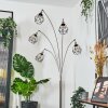 Yaak Lampadaire Nickel mat, Noir, 5 lumières